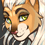 Caligo_S